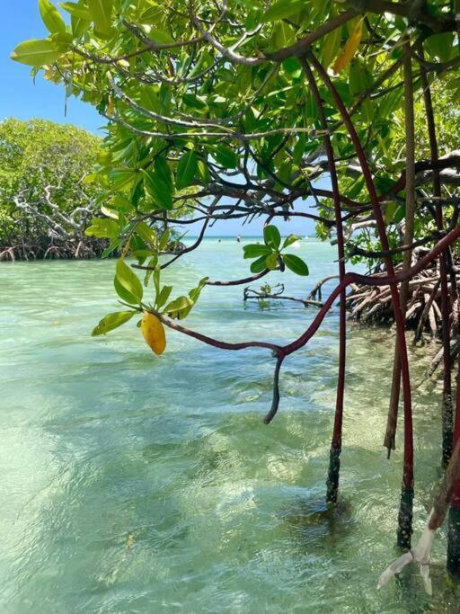 Les Pieds Dans L'Eau Chez Syl Lägenhet Le Moule Exteriör bild