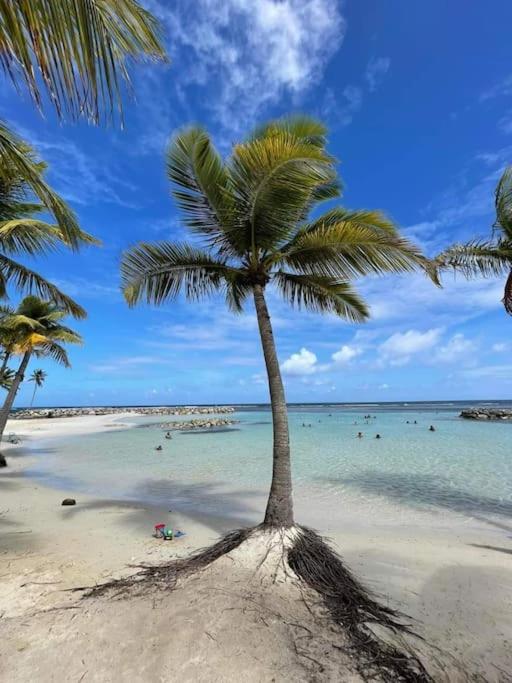 Les Pieds Dans L'Eau Chez Syl Lägenhet Le Moule Exteriör bild