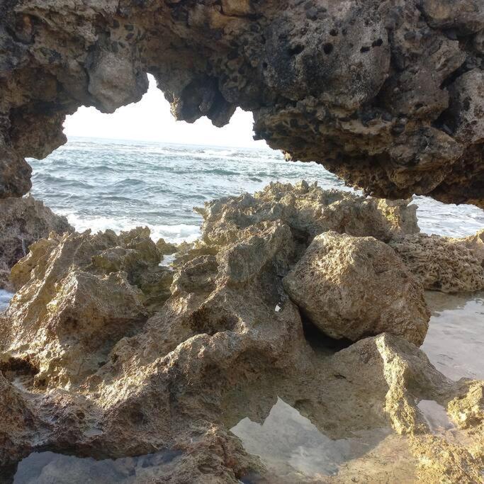 Les Pieds Dans L'Eau Chez Syl Lägenhet Le Moule Exteriör bild